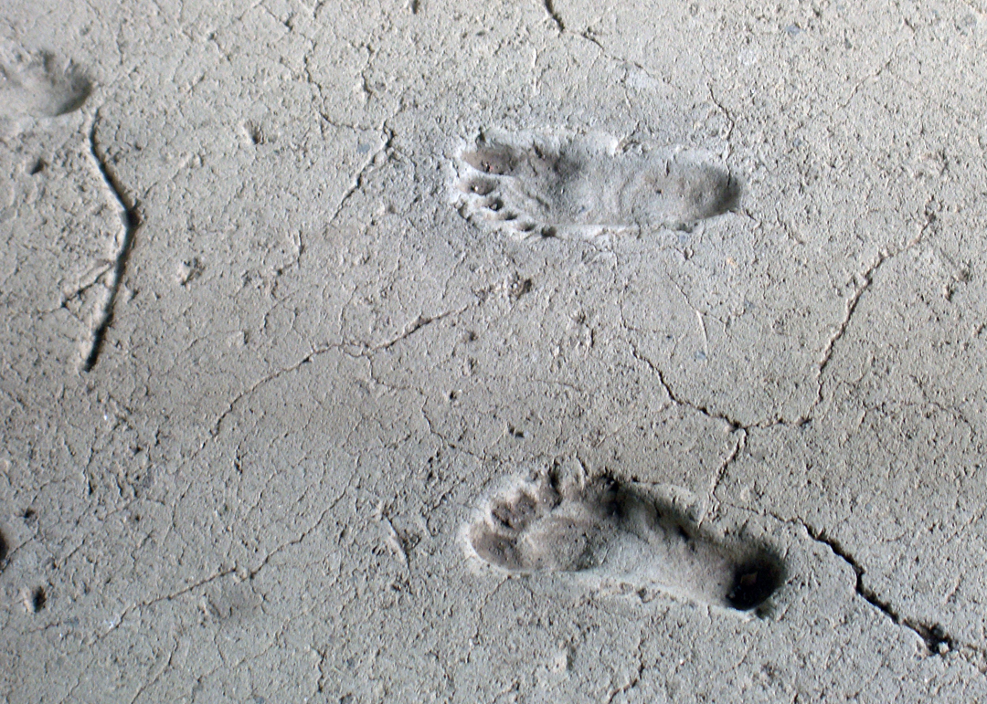 Acahualina footprints