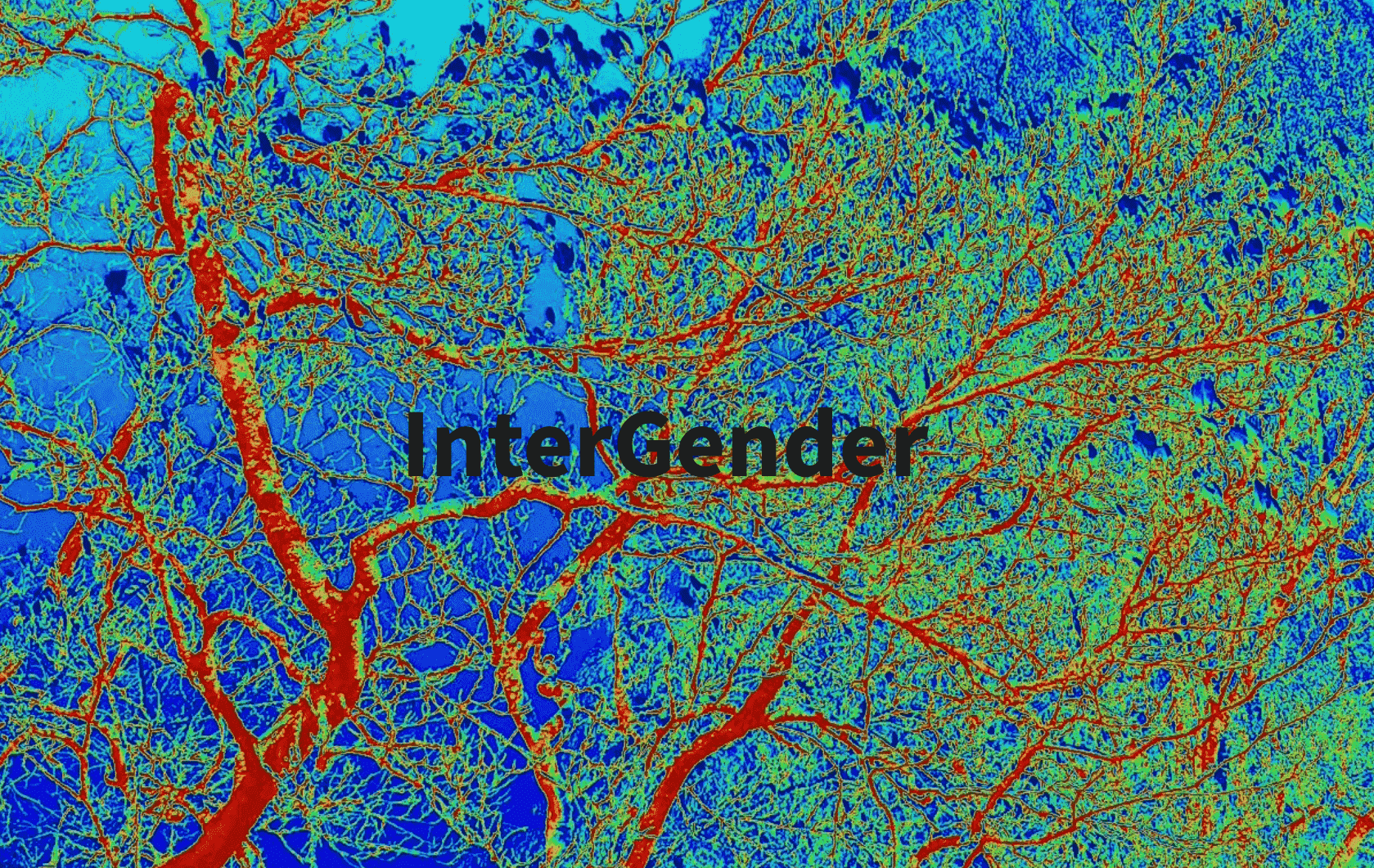 intergender