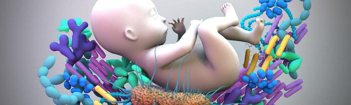 Composición 3D bebé microbioma
